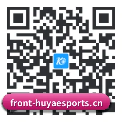 系统版 iOS 二维码